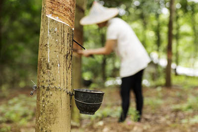 Indonesia's Downstream Rubber Industry – Waiting for Investors
