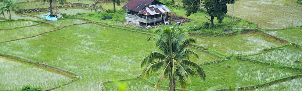 Andalas University