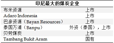 能源领域的机遇：化石燃料之外的机遇